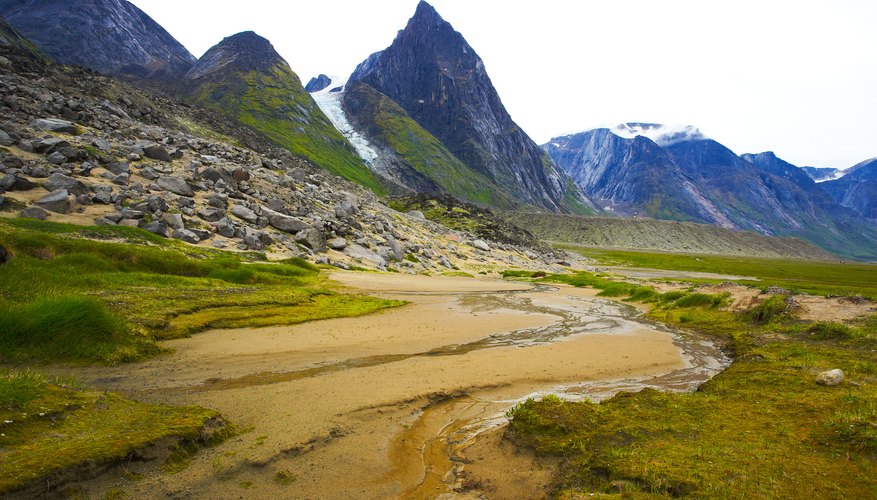 Why Is The Alpine Tundra Important