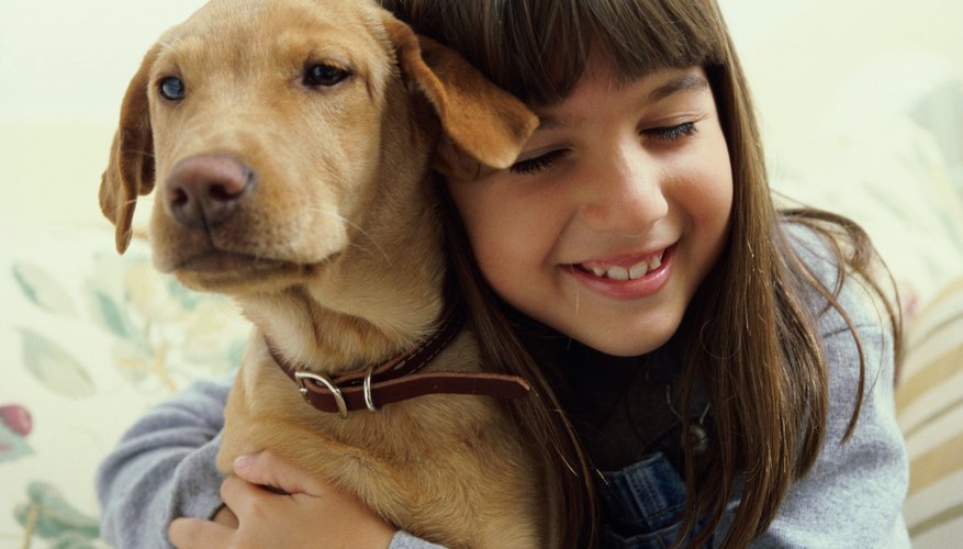 Muchos animales son considerados como parte de la familia a los ojos de sus respectivos dueños.