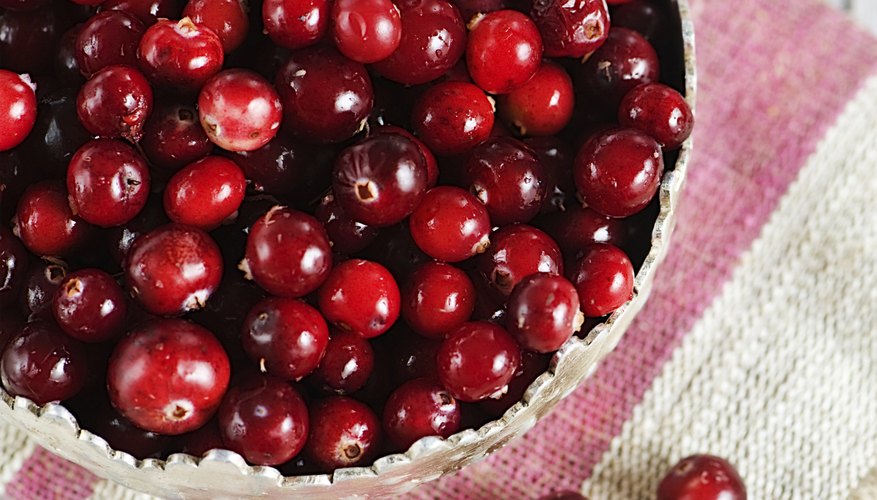 Bucket of cranberries Bucket of cranberries