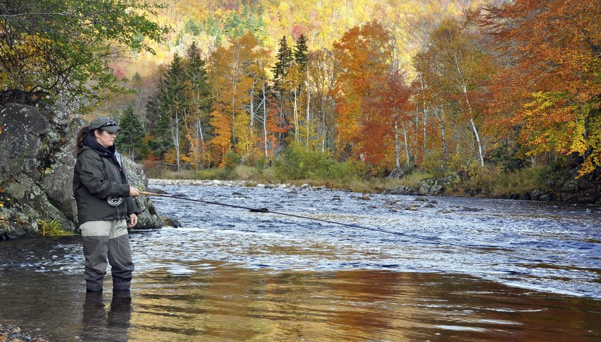 When to Fish for Salmon in Michigan?