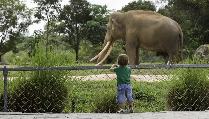 Zoo