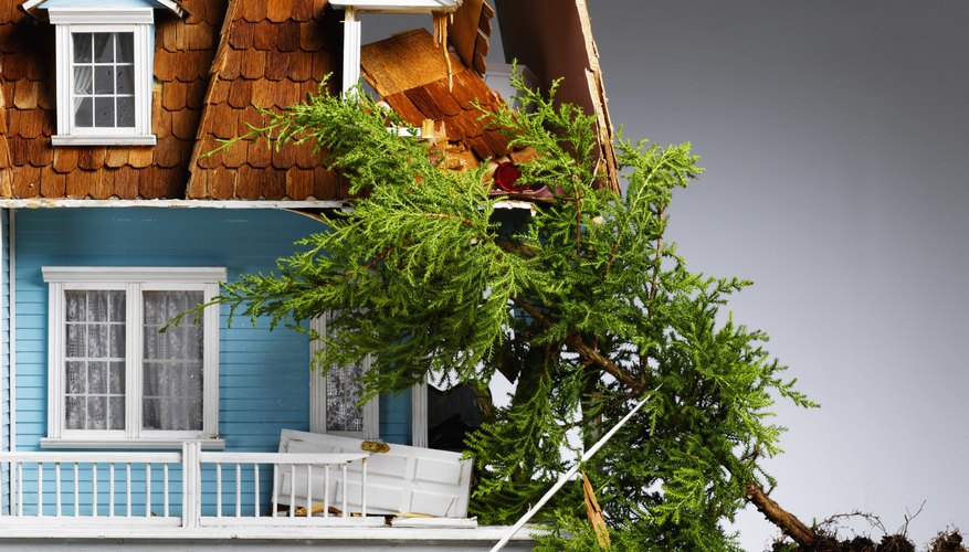 Your homeowner's insurance covers fallen tree damage.