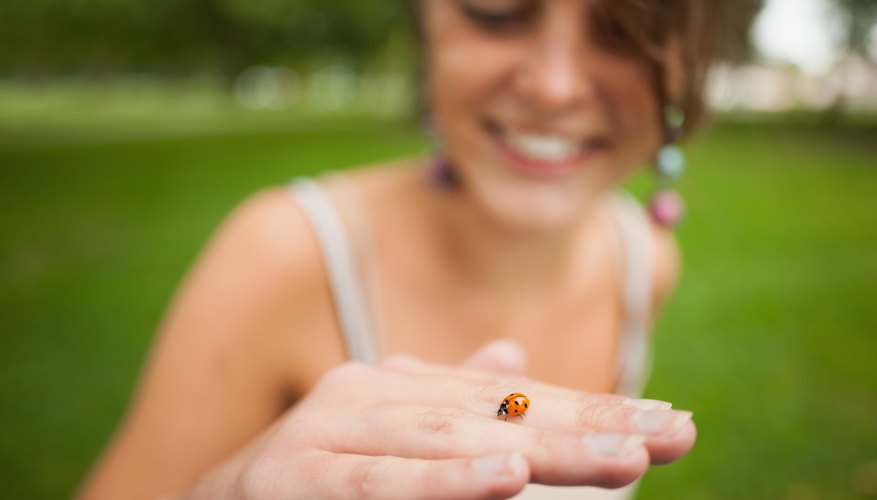 Photo Credit: Wavebreakmedia Ltd/Wavebreak Media/Getty Images You share the planet with about 5,000 ladybug species.
