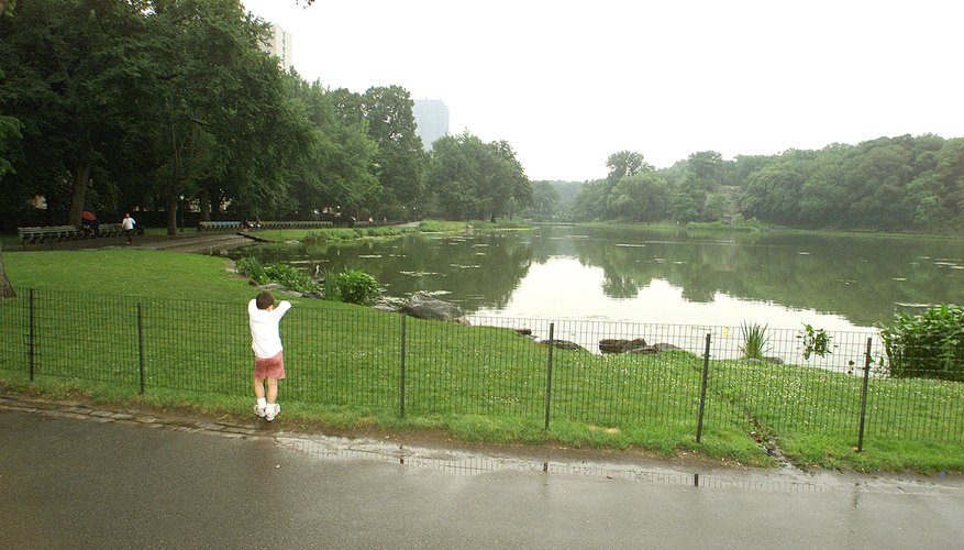 Frederick Law Olmstead diseñó los jardines de la mansión y del Central Park de Nueva York.