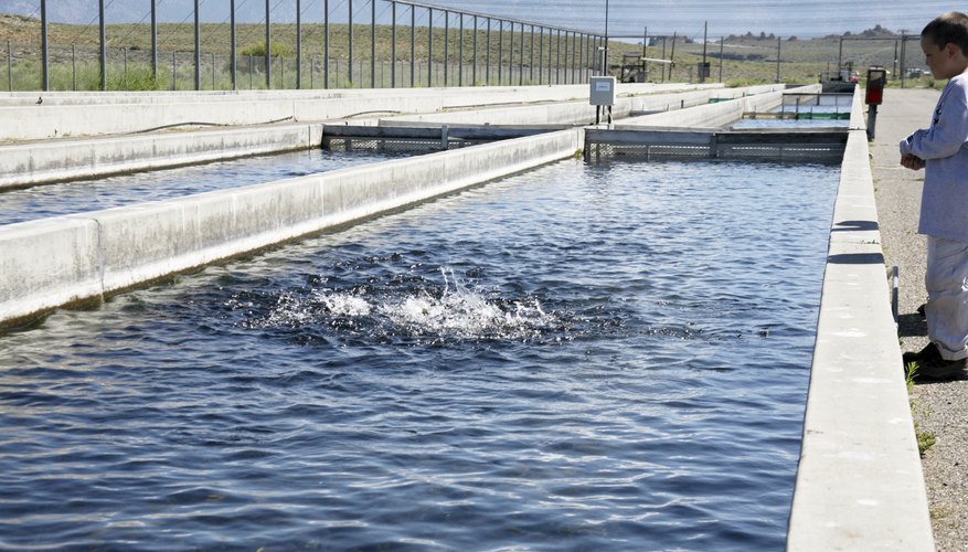 Photo Credit: Stacy Barnett/iStock/Getty Images Outdoor raceway for trout fishing