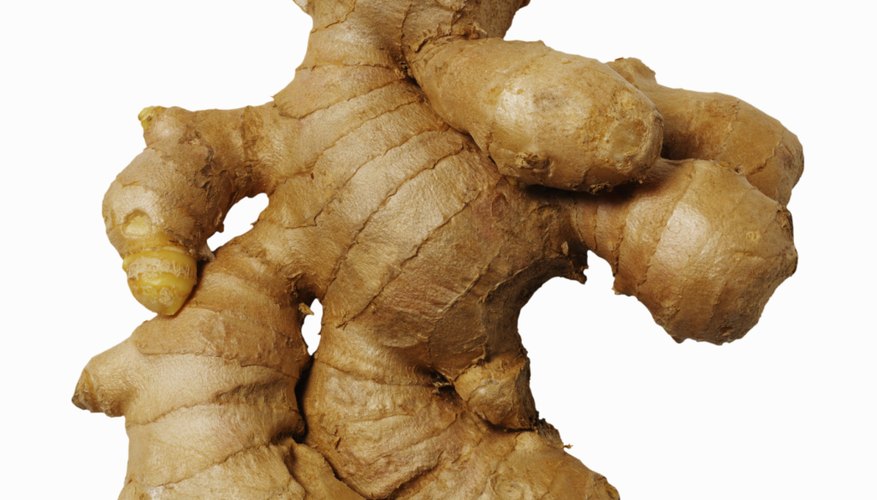 ginger root ginger root