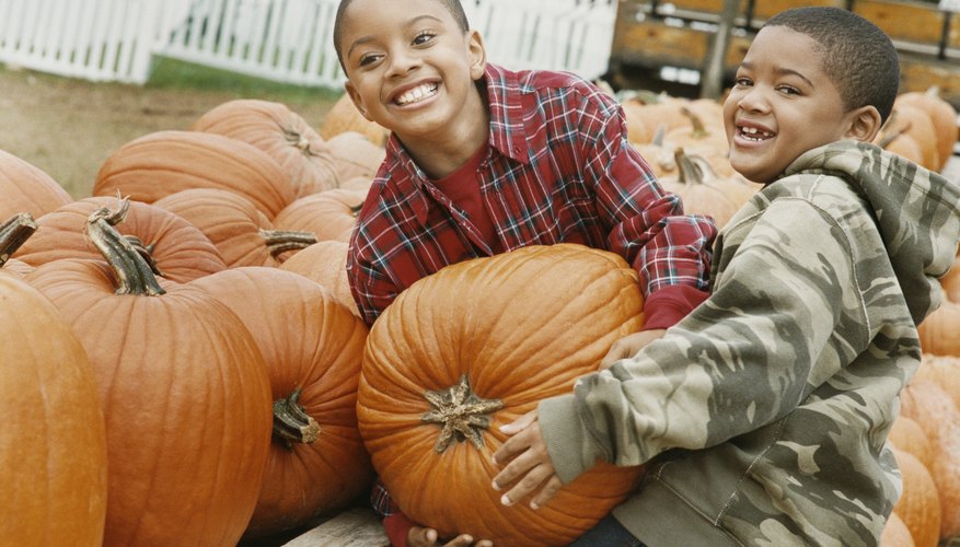 Pumpkin-centered activities can make math class a memorable experience. Pumpkin-centered activities can make math class a memorable experience.