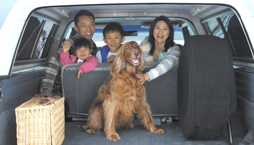Family of four and dog in back of car, portrait, view through boot