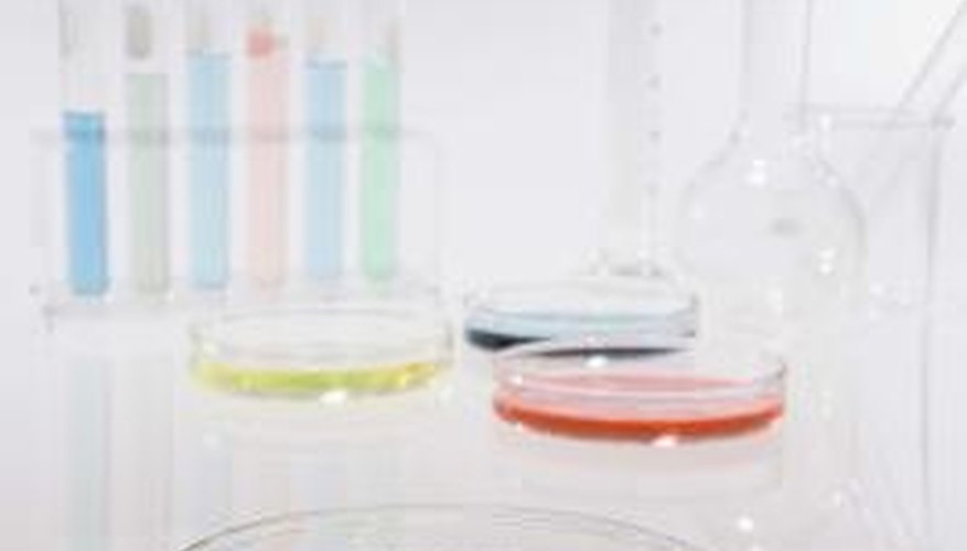 Agar plates allow researchers to grow microbes in a contained lab environment. Agar plates allow researchers to grow microbes in a contained lab environment.