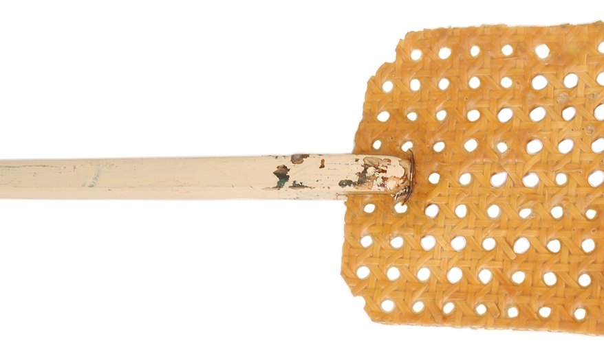 Un matamoscas es una manera efectiva de matar mosquitos.
