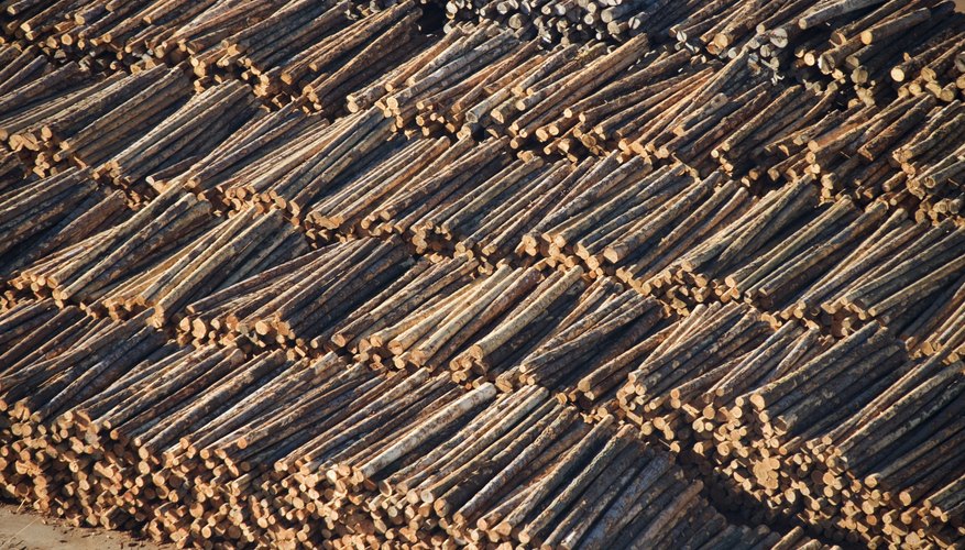 Logging can significantly deplete an ecosystem. Logging can significantly deplete an ecosystem.