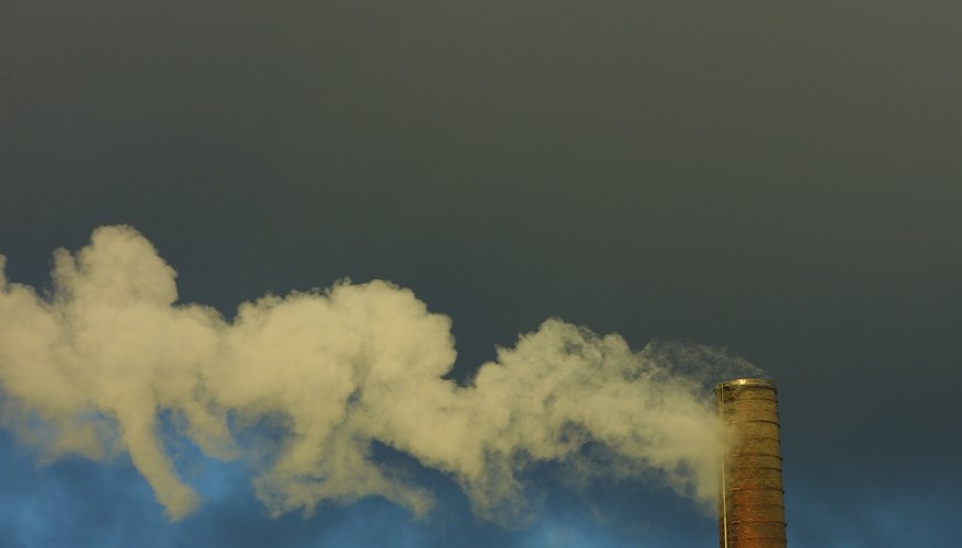 Photo Credit: Photos.com/Photos.com/Getty Images Pollution Effects on Birds