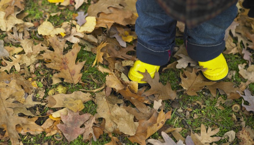 If your toddler refuses her shoes, they may be too small. If your toddler refuses her shoes, they may be too small.