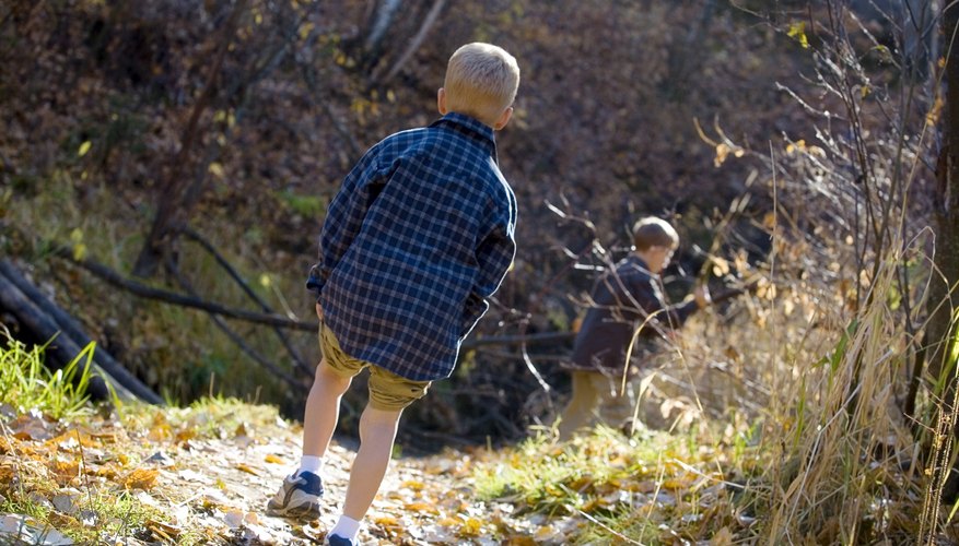 Boys taking a hike on a nature trail. Boys taking a hike on a nature trail.