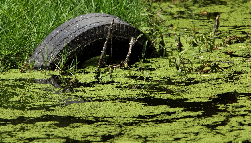 How To Explain Water Pollution To A Child