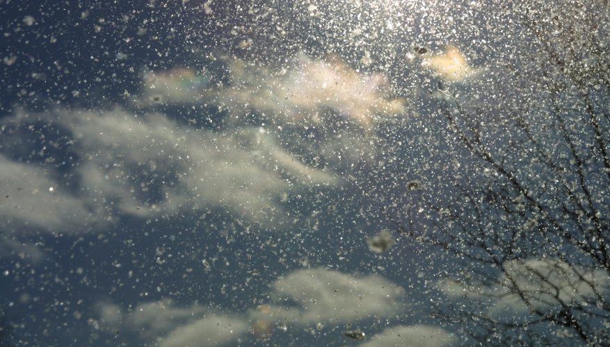 Snow Snow