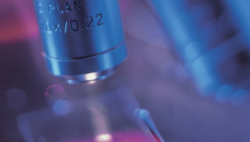 Photo Credit: Comstock/Comstock/Getty Images Use of Penta loci in genetic testing is increasing.