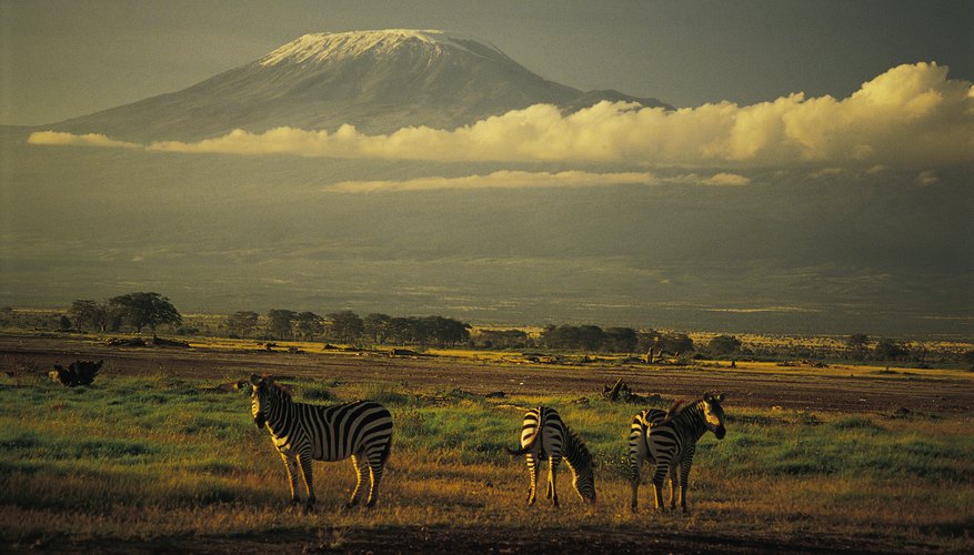 Photo Credit: Comstock/Stockbyte/Getty Images Mt. Kilimanjaro lies within the East African Rift zone.