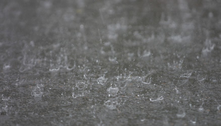 Los estudiantes pueden medir las precipitaciones con medidores de lluvia caseros.