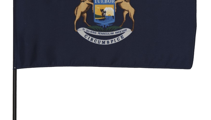 Michigan es el octavo estado más grande de los Estados Unidos.