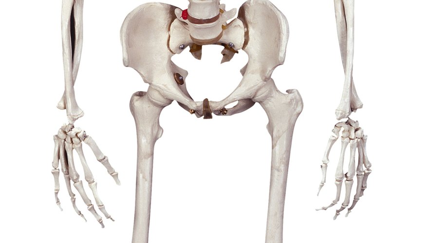 Photo Credit: Brand X Pictures/Stockbyte/Getty Images The calcium that makes your bones hard is actually a light metal.