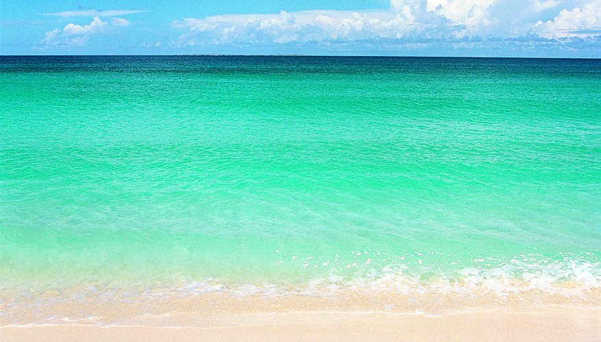 Cuando piensas en pasar un día en la playa, lo más probable es que te pienses acostado en la arena o jugando con las olas.