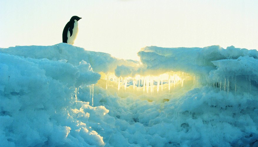 Photo Credit: Stockbyte/Stockbyte/Getty Images Antarctica is the largest arid landmass worldwide; itβs technically a desert.