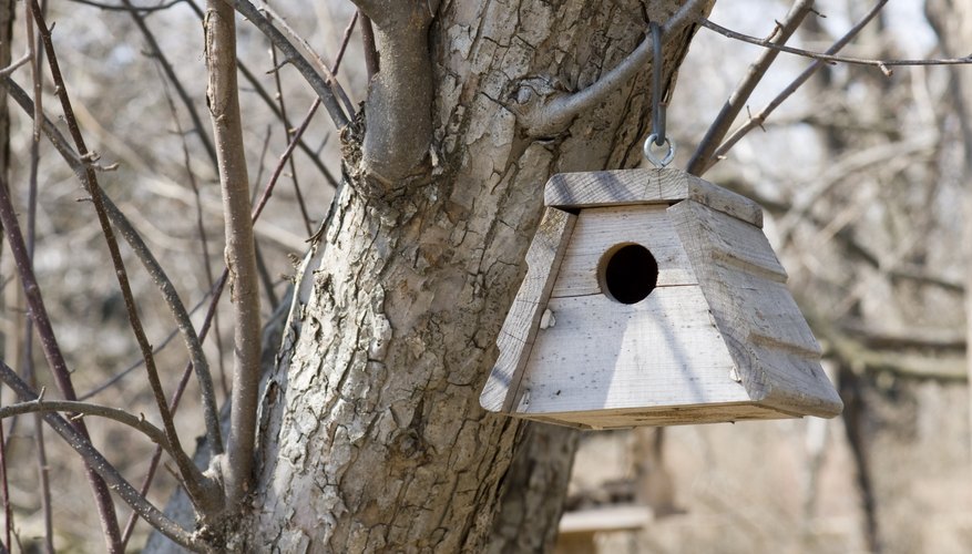 A birdhouse hanging in a tree. A birdhouse hanging in a tree.