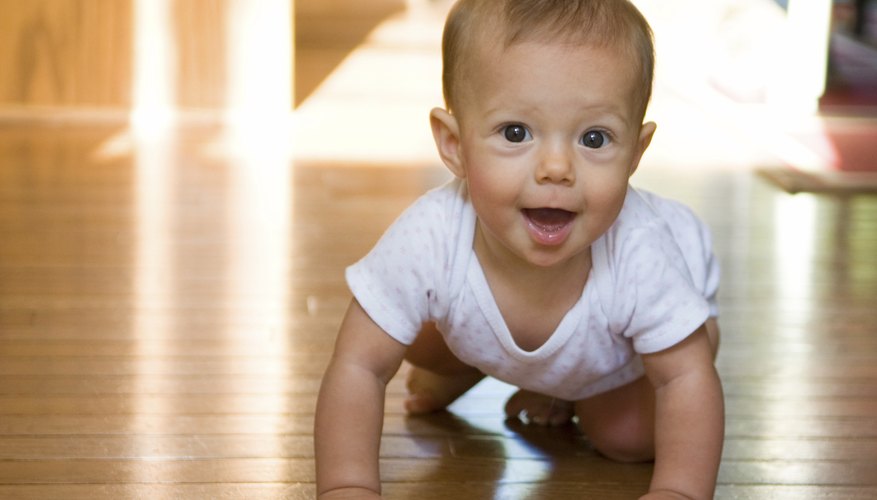 Young baby crawling on wood floor. Young baby crawling on wood floor.