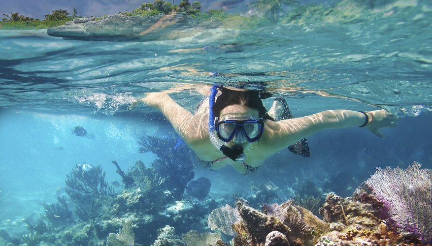 Snorkeling at Sanibel Island, Florida