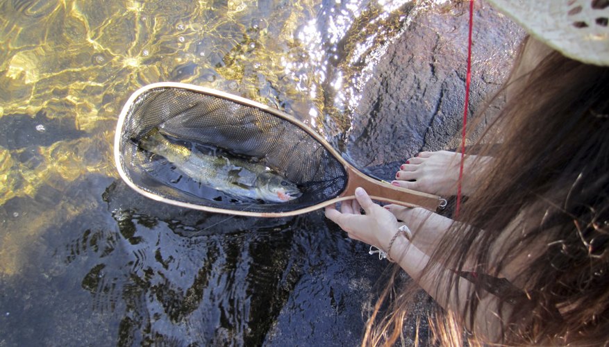 Photo Credit: Hailshadow/iStock/Getty Images Woman removing dead trout from water