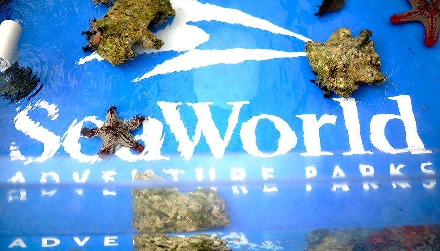 Consigue entradas con descuento para SeaWorld en California.