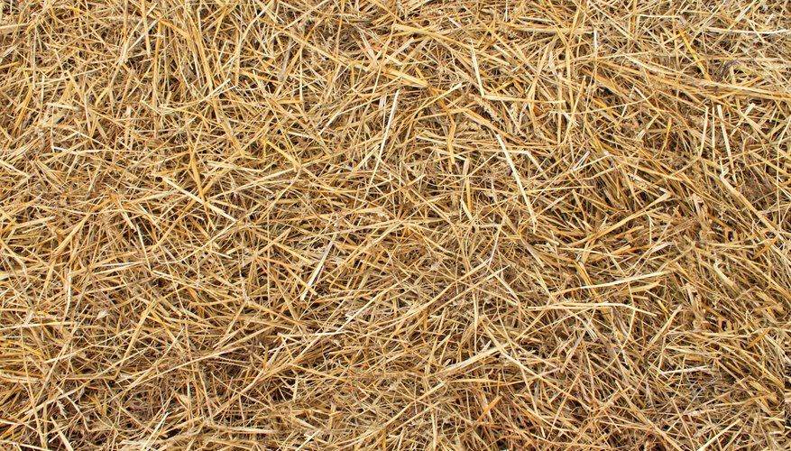 Why Put Straw on Grass Seed | Garden Guides