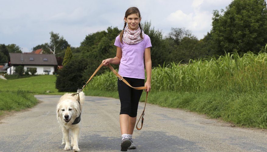 Ten-year-olds can get paid to walk dogs. Ten-year-olds can get paid to walk dogs.