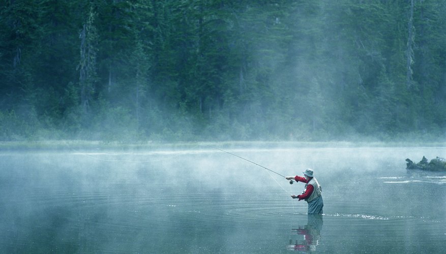 Lake Fishing Hot Spots in Western Washington