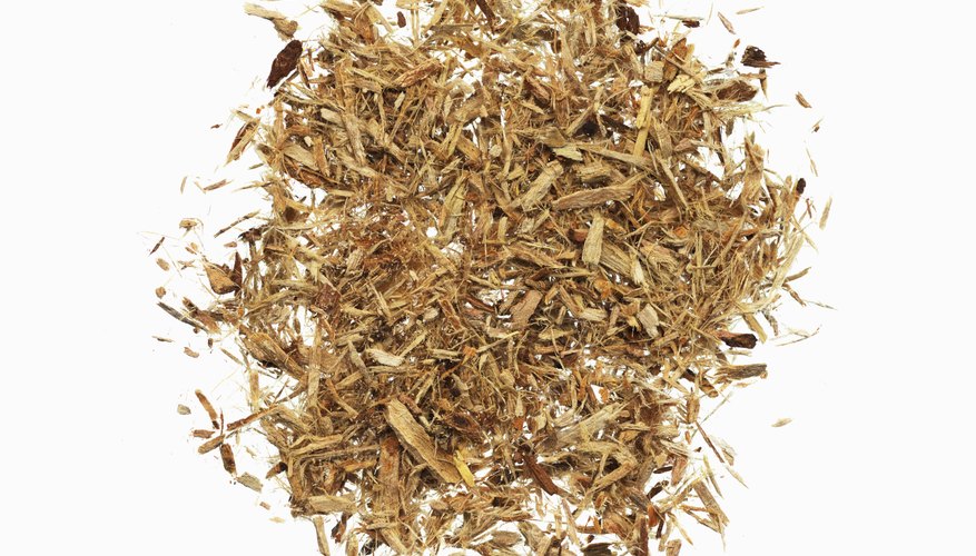 Slippery elm Slippery elm