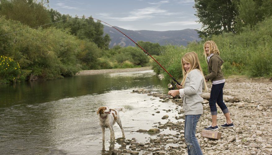 Tips on Salmon Fishing From the Shore