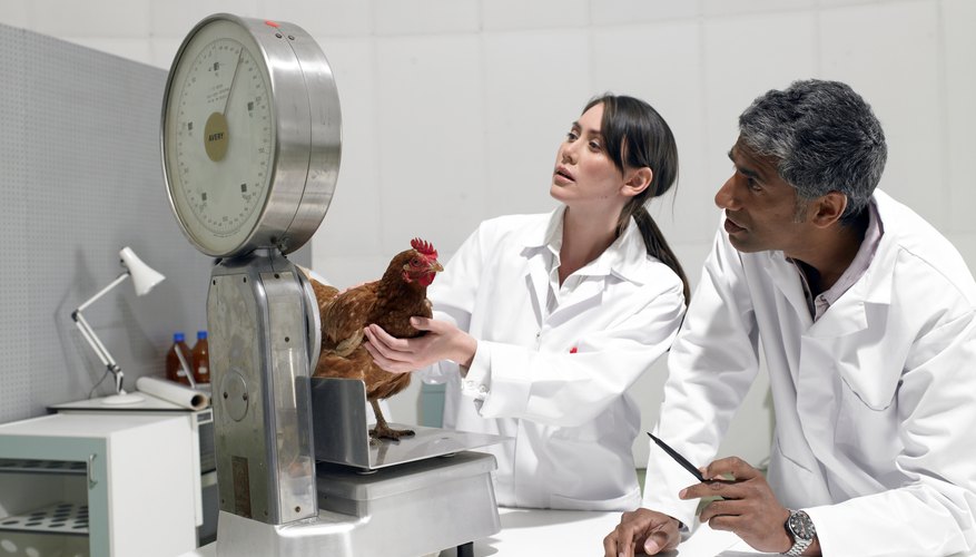 El método científico es un proceso destinado a explicar fenómenos, establecer relaciones entre los hechos y enunciar leyes.