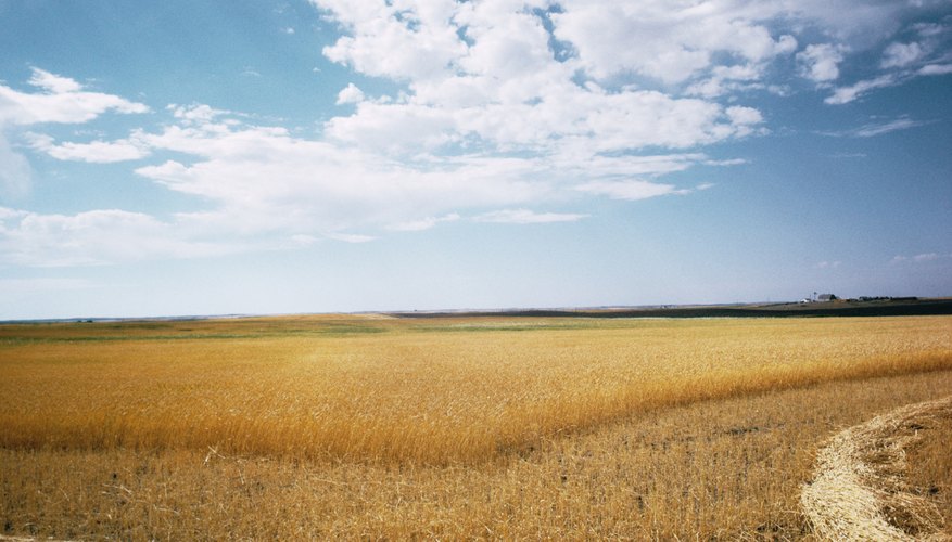 Appraising farmland is a complex process.