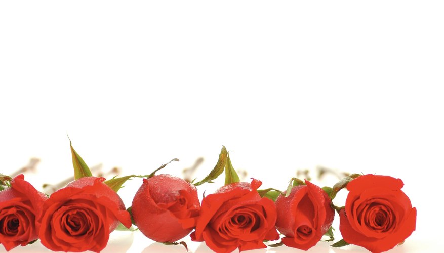 El encerado extiende la vida de las rosas.