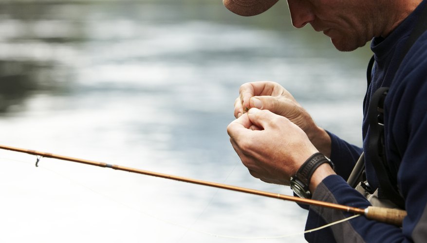 Six Different Types of Bait Used for Fishing