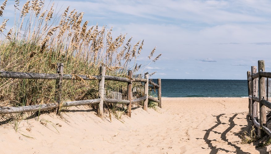 Beaches Nearest to Williamsburg, Virginia