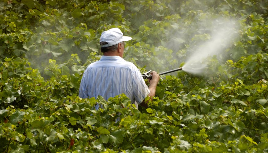 Many pesticides are carcinogens.