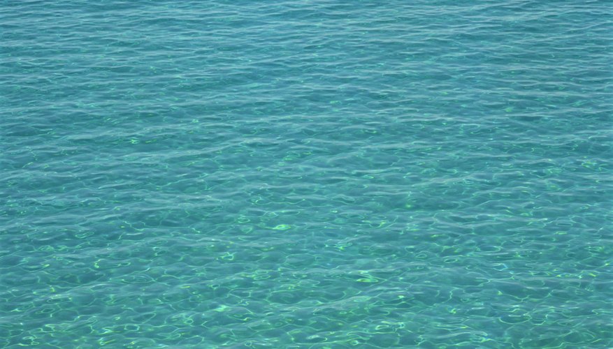 El agua es necesaria para poder ayudar a preservar los diversos organismos y ecosistemas en la Tierra.