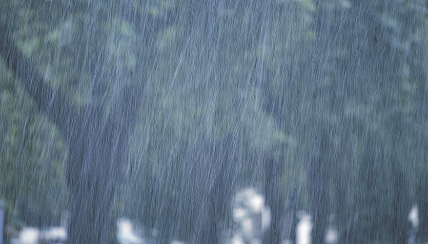 En circunstancias normales, se producen niveles menores de lixiviación con las precipitaciones típicas, y la descomposición de los materiales orgánicos en la superficie reabastece el suelo.