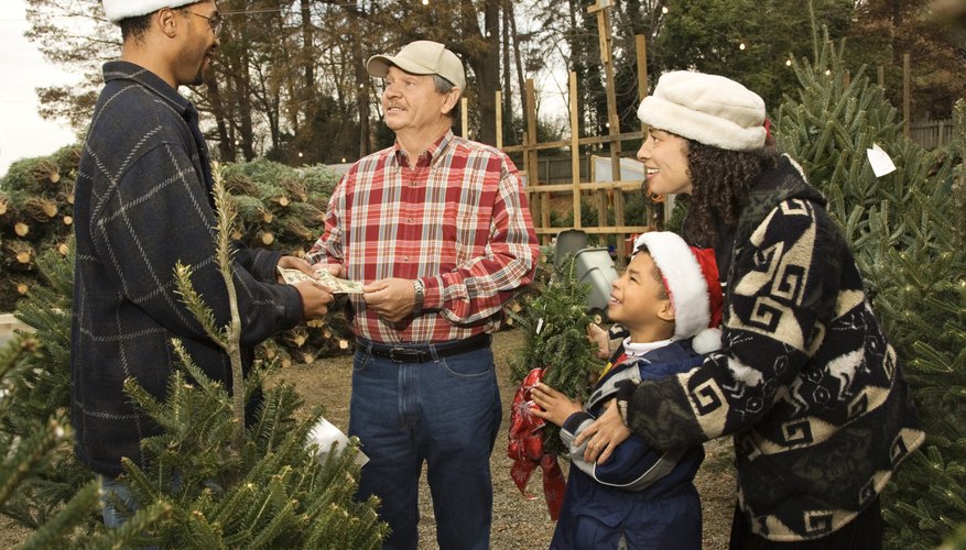 How To Open A Christmas Tree Lot How To Open A Christmas Tree Lot