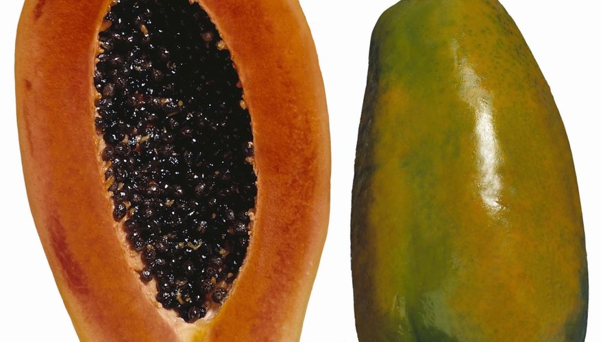 Las semillas se forman a partir de óvulos de la flor que se producen después de la polinización.