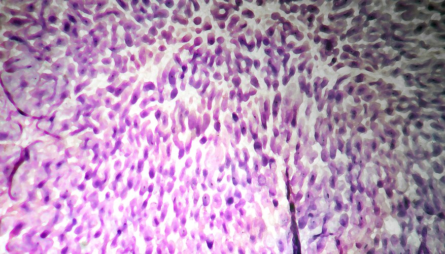 Photo Credit: Jupiterimages/Photos.com/Getty Images You can genetically alter bacteria into a new substance.