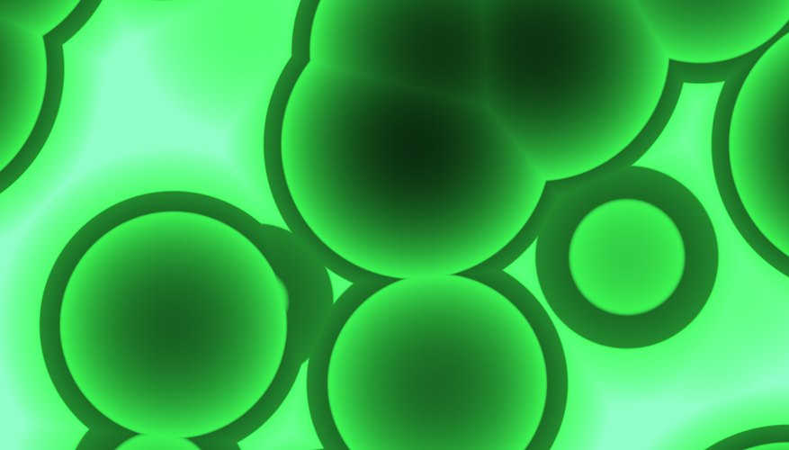 Examples of Diffusion in Organs | The Classroom