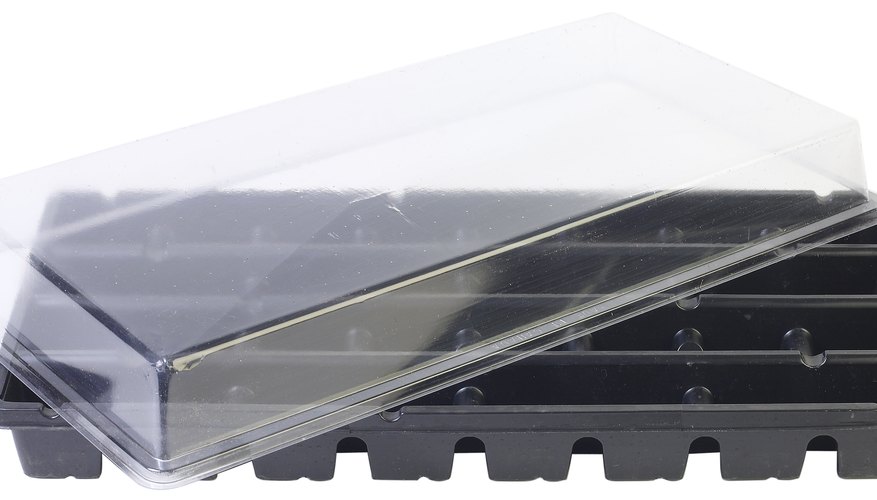 1020 tray and lid 1020 tray and lid